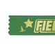 Field Day Wrist Bracelets(Green):Field Day Be The Best You Can Be!