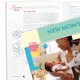 The New Mom's Handbook