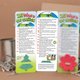 25 Ways To Go Green Seeded Paper Plant-A-Shape Bookmarks (Tree)