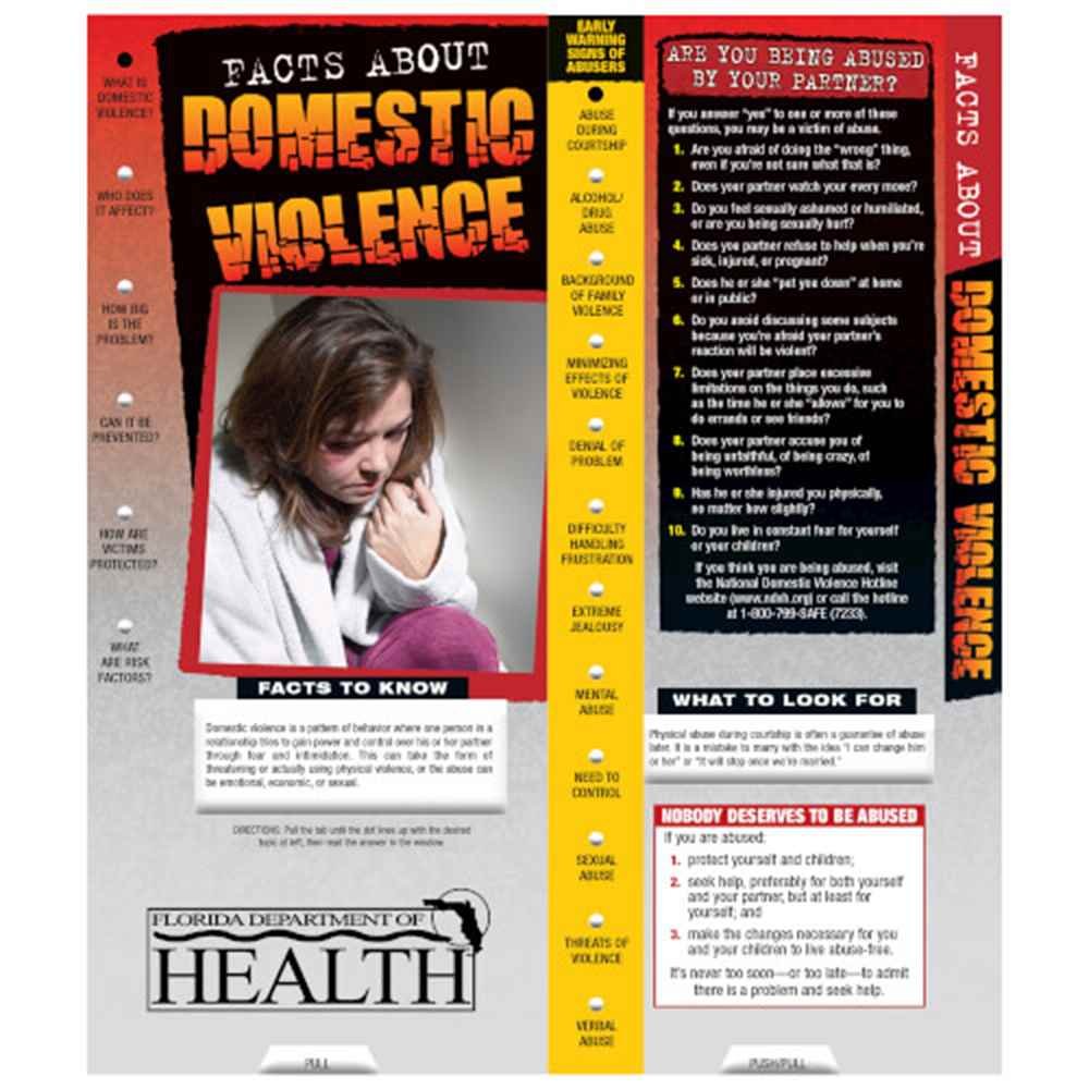 Facts About Domestic Violence Slideguide - Personalization Available