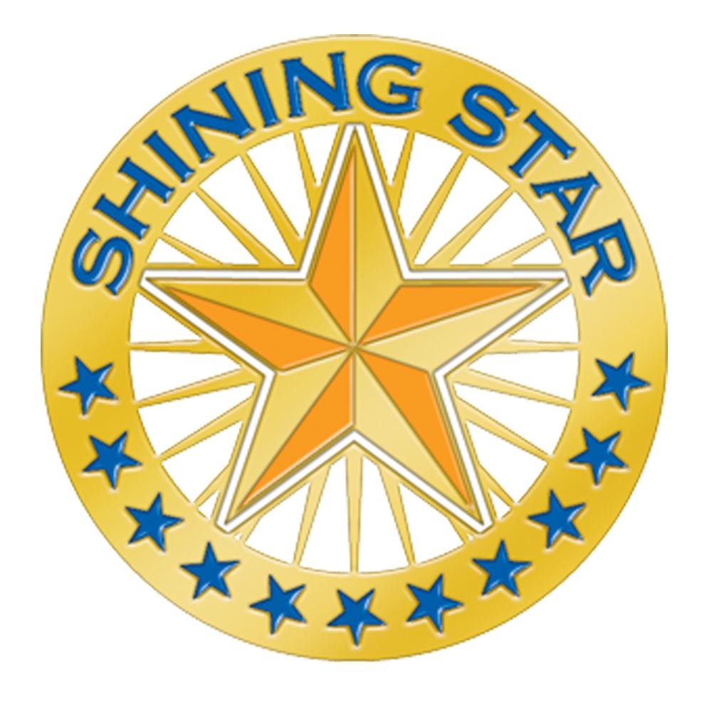 Shining Star Round Lapel Pin With Presentation Card