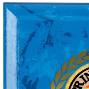 Principal's Award Blue Marble Award Plaque