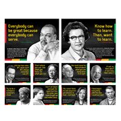 Deluxe Laminated Poster Set