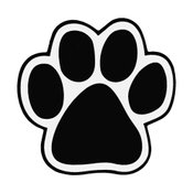 Paw Auto Magnet - Personalization Available