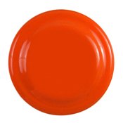 Compact Flying Disc - Personalization Available