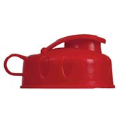 Fruit Infuser Water Bottle- Personalization Available