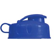 Fruit Infuser Water Bottle- Personalization Available