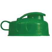 Fruit Infuser Water Bottle- Personalization Available