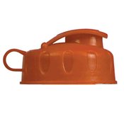 Fruit Infuser Water Bottle- Personalization Available