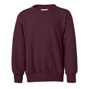 Hanes&reg; Ecosmart Youth Crewneck Sweatshirt - Personalization Available