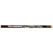 Let's Learn About Bus Safety Rules Grades 1-3 Value Kit