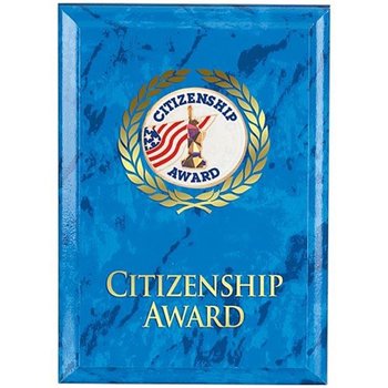 Citizenship Award Blue Marble Award Plaque from Positive Promotions