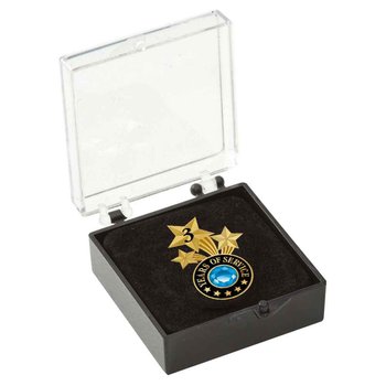 3 Years Of Service Triple Star Lapel Pin With Jewel Box | Positive ...