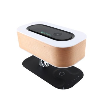 Wood Bonsai Tree Lamp With Wireless Speaker & Charger - Full-Color Personalization Available from Positive Promotions