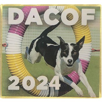 Screen-Printed Steel Lapel Pins 1.25