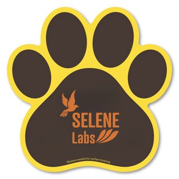 Reusable Car Sign Magnet Paw Print 5 3/4