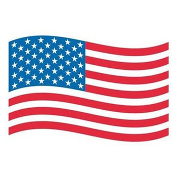 Patriotic America 250 USA Flag Temporary Tattoos 3