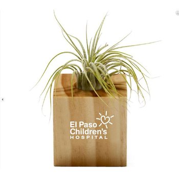 Air Plant - Personalization Available from Positive Promotions