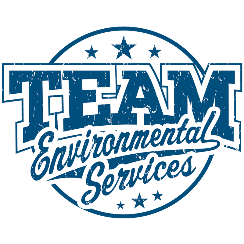 1318B TEAM ENVIRONMENTAL SERVI