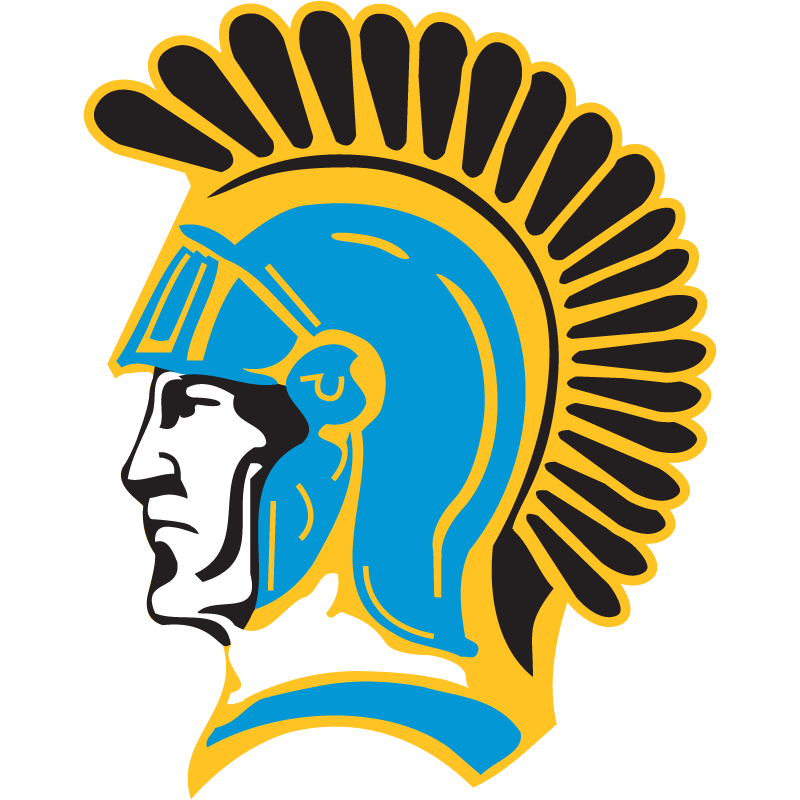 539 KNIGHT OPEN HELMET