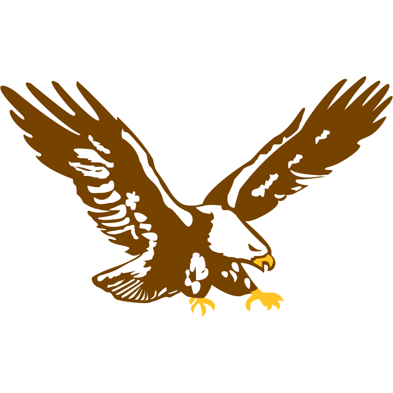 563 EAGLE/HAWK FLYING