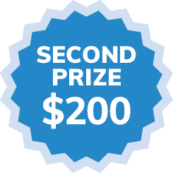 Volunteers Contest - Second Prize
