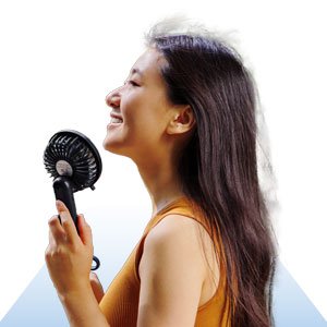 Promotional Fans