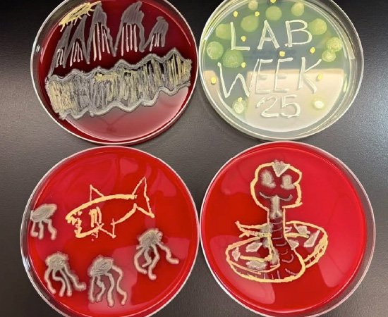 2025 Volunteers Appreciation Week Contest Winners - 1st Place