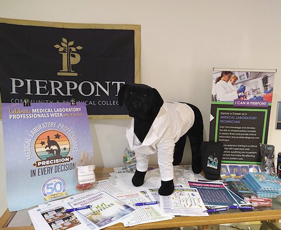 2025 Volunteers Appreciation Week Contest Winners - 1st Place